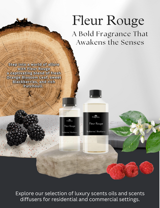 Transform Your Space with Fragranza613: The Ultimate Aroma Experience