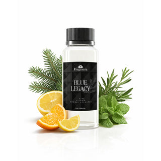 How Fragranza 613 Creates Its Luxury Scents: From Inspiration to Cold-Air Diffusion